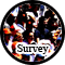 Surveys